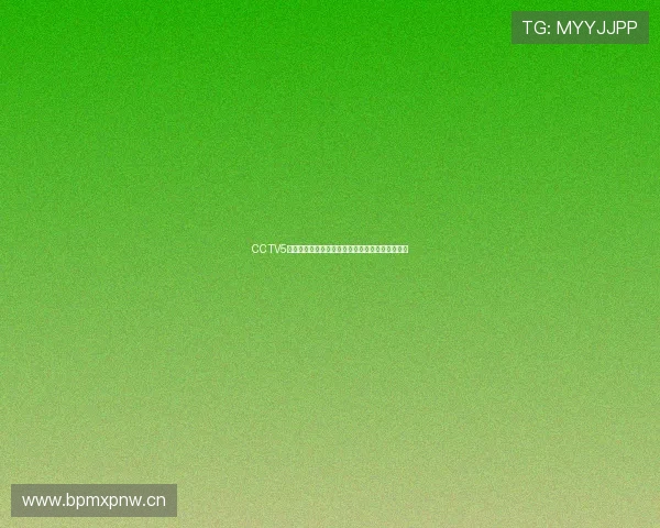 CCTV5最新体育节目全解析每日赛事直播与精彩回放安排